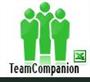 TeamCompanion for Excel