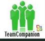 TeamCompanion for Project